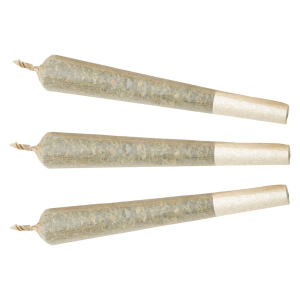3-prerolls-05