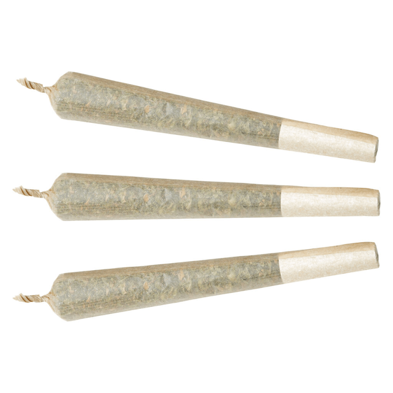 3-prerolls-05