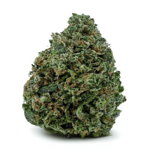 60-oz-special-sativa