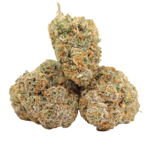 Close-up of cannabis buds with dense orange hairs and a frosty resin coating.