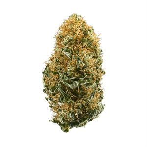White-Widow-3a