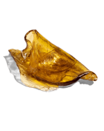 chernobyl-shatter